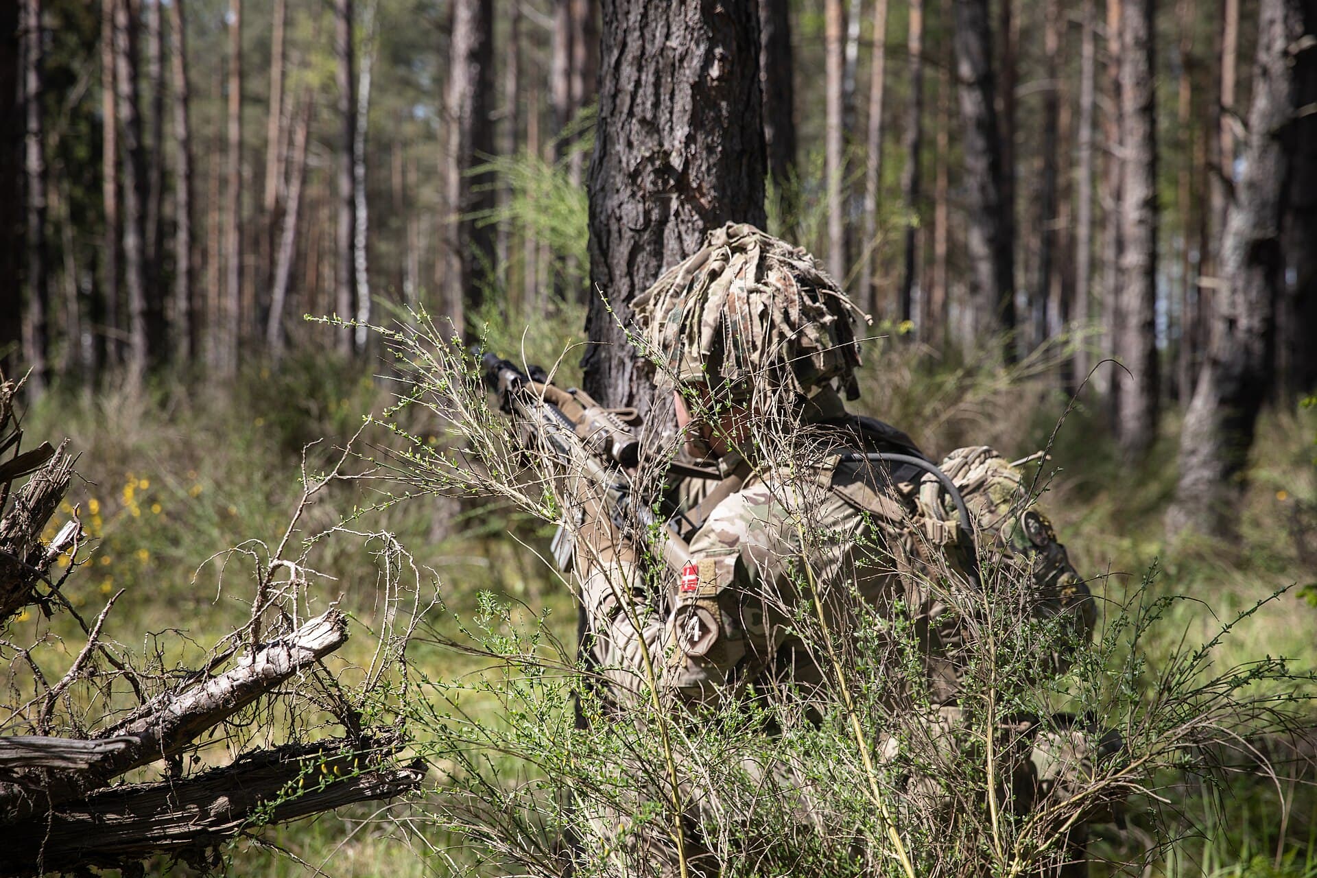 Royal Danish Army soldiers training during Exercise Firm Stallion in Germany in April 2024